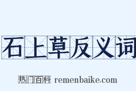 石上草反义词是什么意思的图片